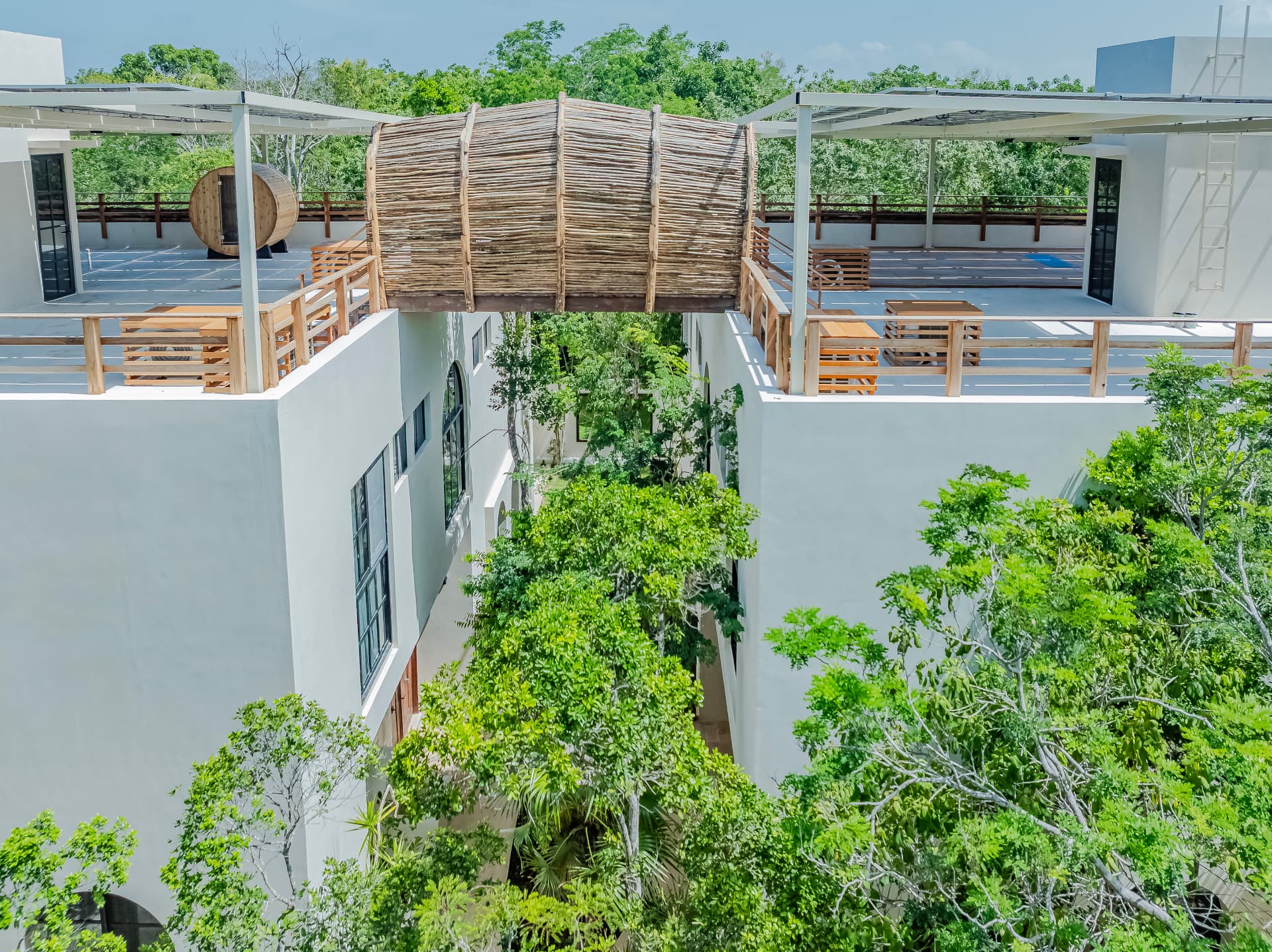 Handmade driftwood bridge connecting the two rooftop terraces above the jungle canopy